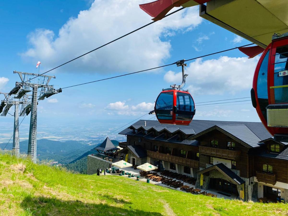 Yager Chalet Пояна-Брашов Екстер'єр фото