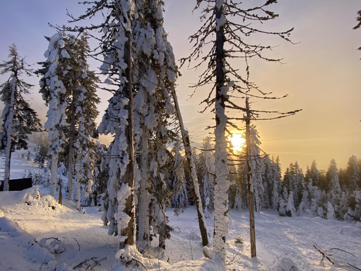Yager Chalet Пояна-Брашов Екстер'єр фото