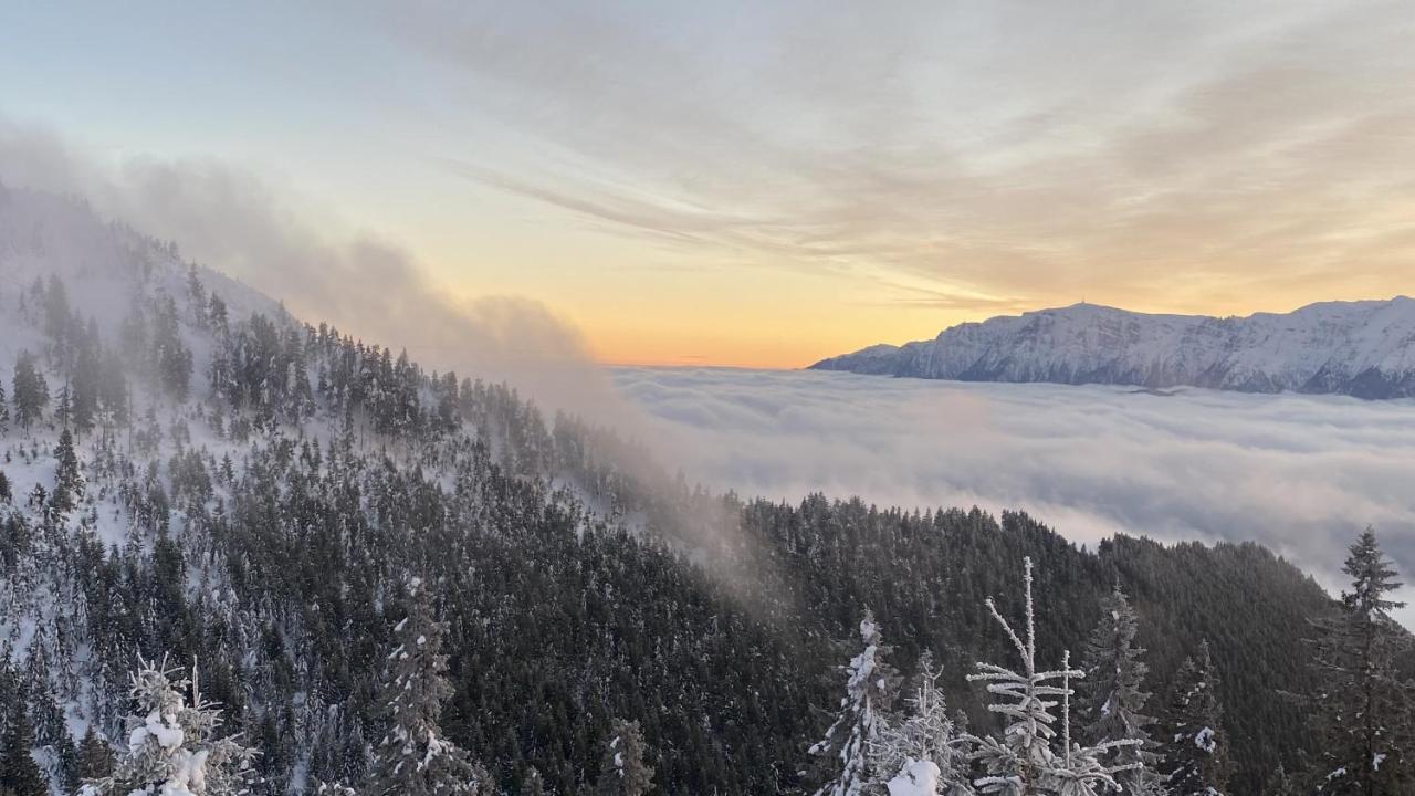 Yager Chalet Пояна-Брашов Екстер'єр фото